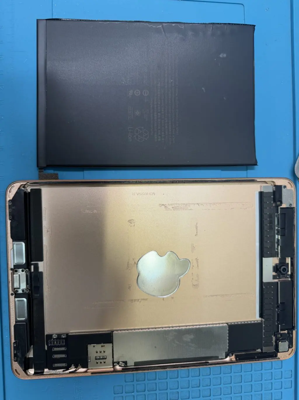 iPadmini（第5世代）修理実績｜iPhone修理スマホ修理堂